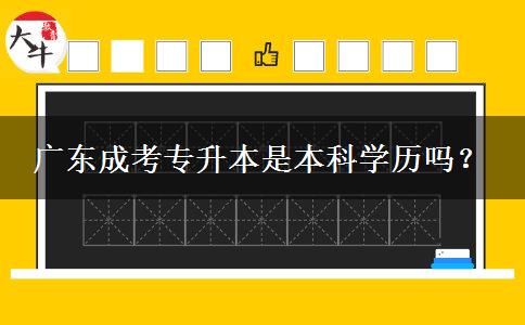 廣東成考專升本是本科學(xué)歷嗎？