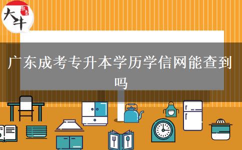 廣東成考專(zhuān)升本學(xué)歷學(xué)信網(wǎng)能查到嗎