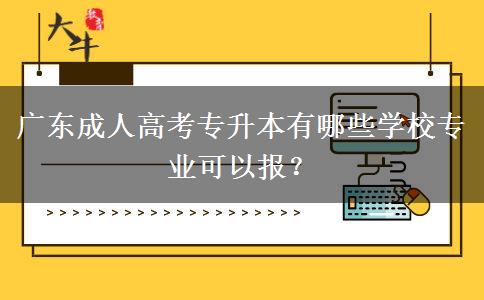 廣東成人高考專升本有哪些學(xué)校專業(yè)可以報(bào)？