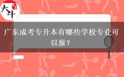 廣東成考專升本有哪些學(xué)校專業(yè)可以報(bào)？