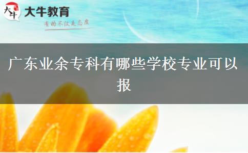 廣東業(yè)余專科有哪些學(xué)校專業(yè)可以報(bào)