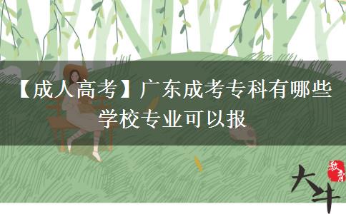 廣東成考專科有哪些學校專業(yè)可以