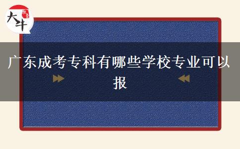 廣東成考?？朴心男W(xué)校專業(yè)可以報