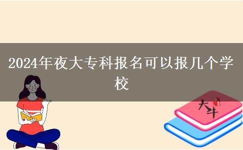 2024年夜大?？茍竺梢詧髱讉€學(xué)校
