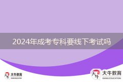 2024年成考?？埔€下考試嗎