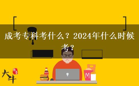 成考?？瓶际裁矗?024年什么時候考？