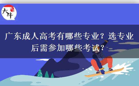 廣東成人高考有哪些專業(yè)？選專業(yè)后需參加哪些考試？