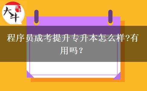 程序員成考提升專(zhuān)升本怎么樣?有用嗎？