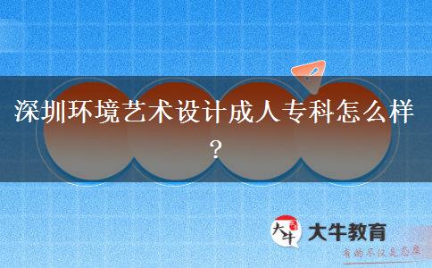 深圳環(huán)境藝術(shù)設(shè)計(jì)成人?？圃趺礃?