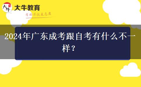 2024年廣東成考跟自考有什么不一樣？