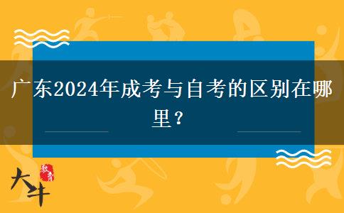 廣東2024年成考與自考的區(qū)別在哪里？