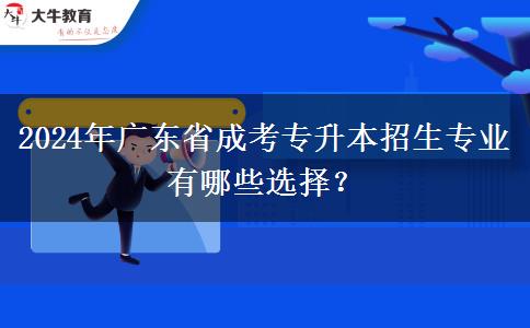 2024年廣東省成考專(zhuān)升本招生專(zhuān)業(yè)有哪些選擇？