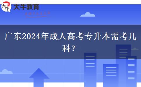 廣東2024年成人高考專升本需考幾科？