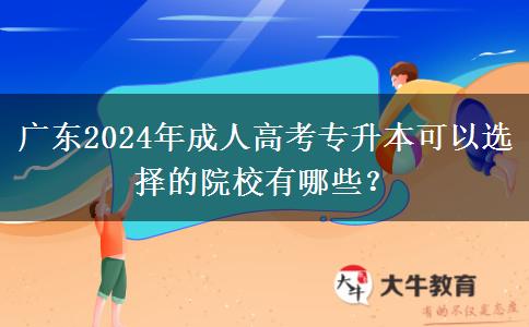 廣東2024年成人高考專升本可以選擇的院校有哪些？