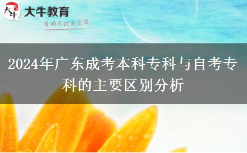 2024年廣東成考本科專科與自考?？频闹饕獏^(qū)別分析