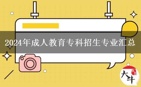 2024年成人教育?？普猩鷮I(yè)匯總