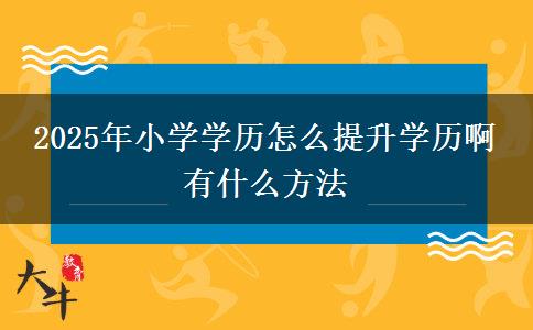 2025年小學學歷怎么提升學歷啊 有什么方法