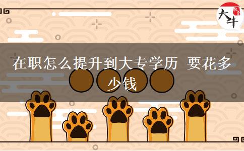 在職怎么提升到大專(zhuān)學(xué)歷 要花多少錢(qián)