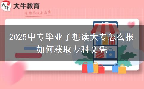 2025中專畢業(yè)了想讀大專怎么報 如何獲取?？莆膽{