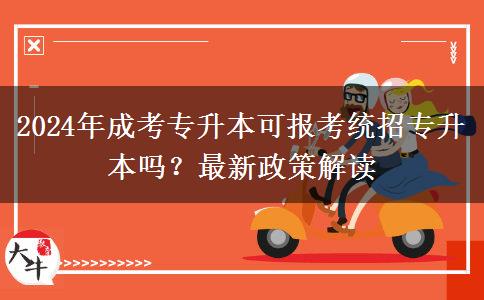 2024年成考專升本可報(bào)考統(tǒng)招專升本嗎？最新政策解讀
