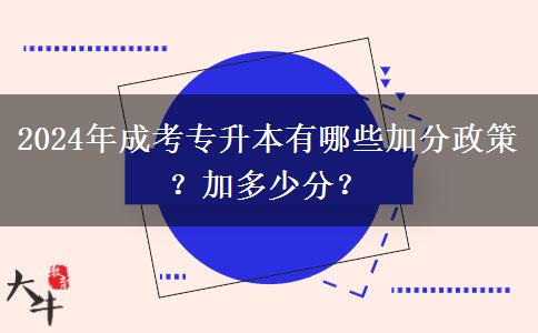 2024年成考專升本有哪些加分政策？加多少分？