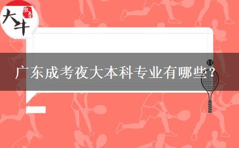 廣東成考夜大本科專業(yè)有哪些？