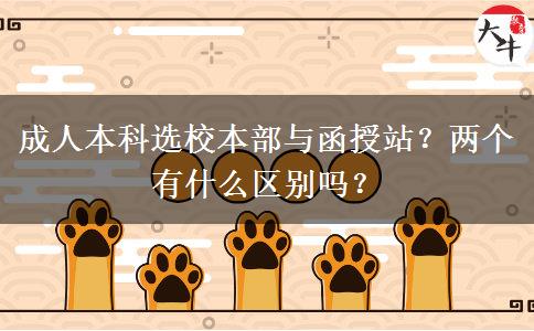 成人本科選校本部與函授站？兩個(gè)有什么區(qū)別嗎？