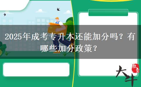 2025年成考專升本還能加分嗎？有哪些加分政策？