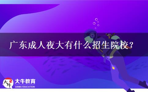 廣東成人夜大有什么招生院校？