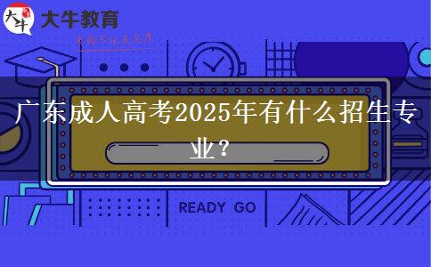 廣東成人高考2025年有什么招生專(zhuān)業(yè)？