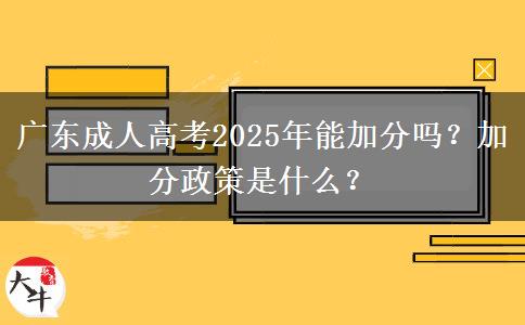 廣東成人高考2025年能加分嗎？加分政策是什么？