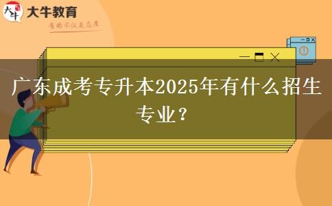 廣東成考專升本2025年有什么招生專業(yè)？