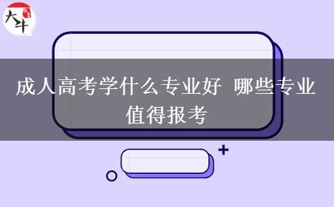 成人高考學什么專業(yè)好 哪些專業(yè)值得報考