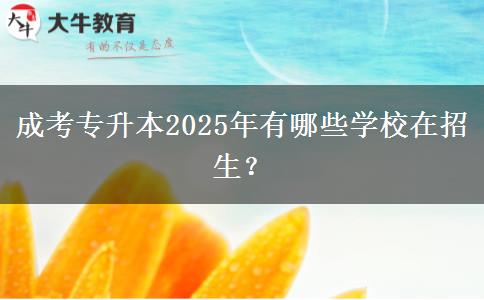 成考專升本2025年有哪些學(xué)校在招生？
