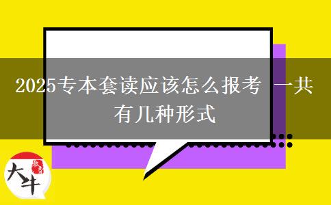 2025專本套讀應(yīng)該怎么報考 一共有幾種形式