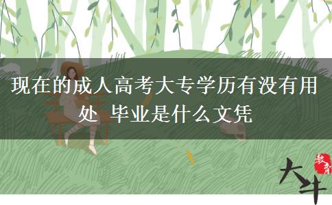現(xiàn)在的成人高考大專學(xué)歷有沒(méi)有用處 畢業(yè)是什么文憑