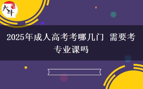 2025年成人高考考哪幾門(mén) 需要考專(zhuān)業(yè)課嗎
