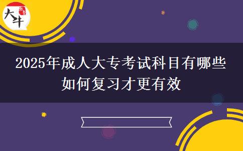 2025年成人大?？荚嚳颇坑心男?如何復習才更有效