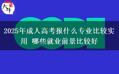 2025年成人高考報(bào)什么專業(yè)比較實(shí)用 哪些就業(yè)前景比較好