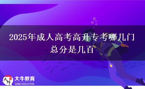 2025年成人高考高升?？寄膸组T 總分是幾百