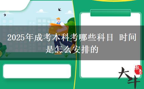 2025年成考本科考哪些科目 時(shí)間是怎么安排的
