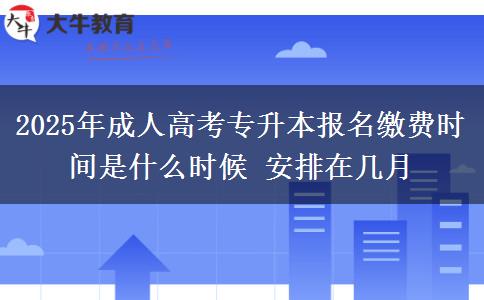 2025年成人高考專升本報名繳費(fèi)時間是什么時候 安排在幾月