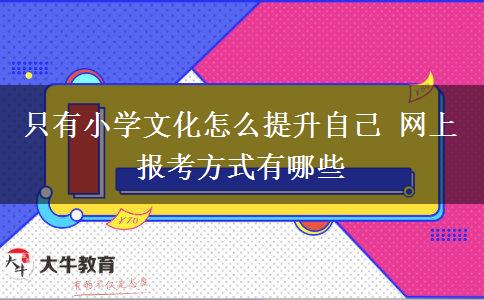 只有小學(xué)文化怎么提升自己 網(wǎng)上報(bào)考方式有哪些