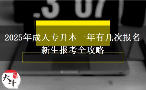 2025年成人專升本一年有幾次報名 新生報考全攻略