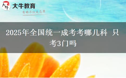 2025年全國(guó)統(tǒng)一成考考哪幾科 只考3門嗎