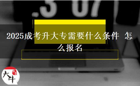 2025成考升大專需要什么條件 怎么報(bào)名