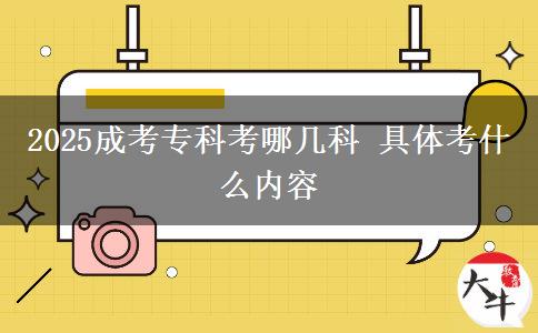 2025成考?？瓶寄膸卓?具體考什么內(nèi)容
