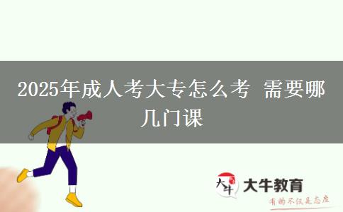 2025年成人考大專怎么考 需要哪幾門課